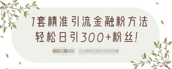 1套精准引流金融粉方法，轻松日引300+粉丝【视频课程】