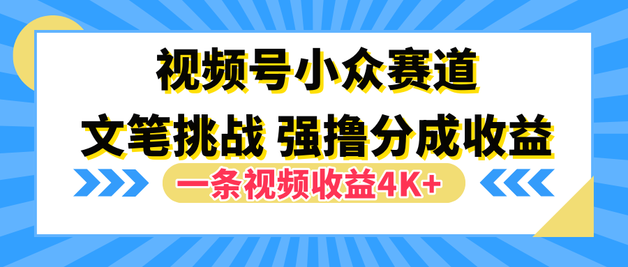 视频号小众赛道，文笔挑战，一条视频收益4K+